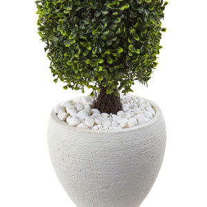 Decorative Planters