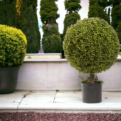 27” Artificial Boxwood Ball Topiary