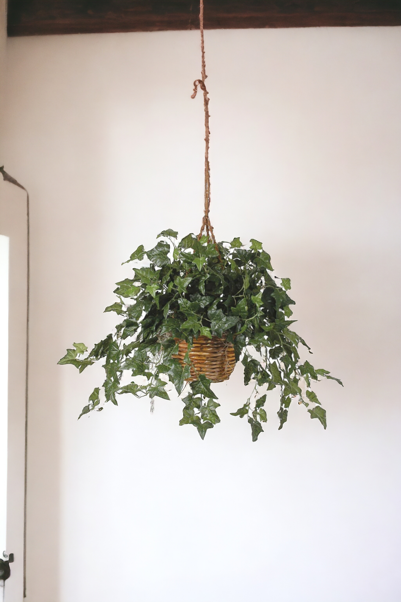 English Ivy Hanging Basket Silk Plant