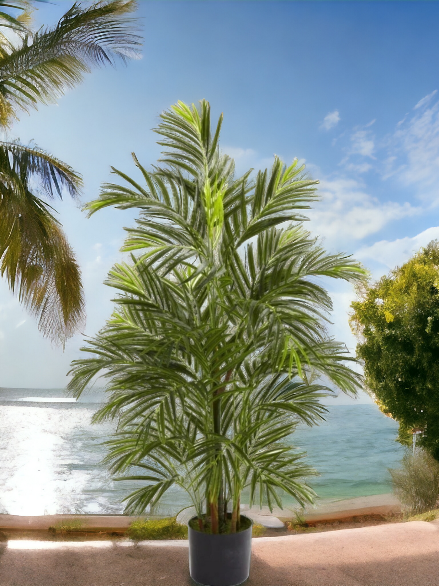 3.5' Areca Palm Tree UV Resistant (Indoor/Outdoor)