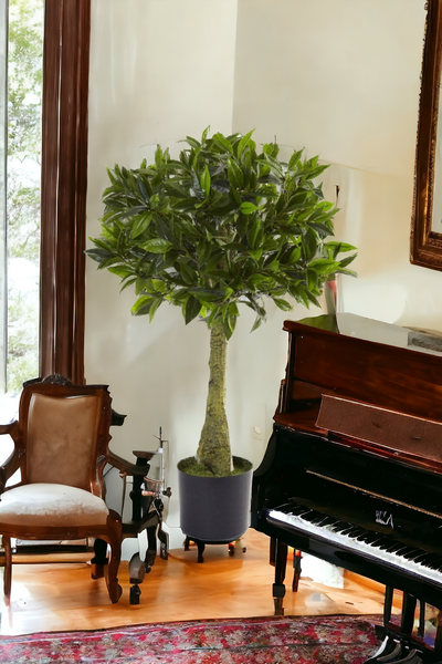 3' Bay Leaf Topiary UV Resistant (Indoor/Outdoor)