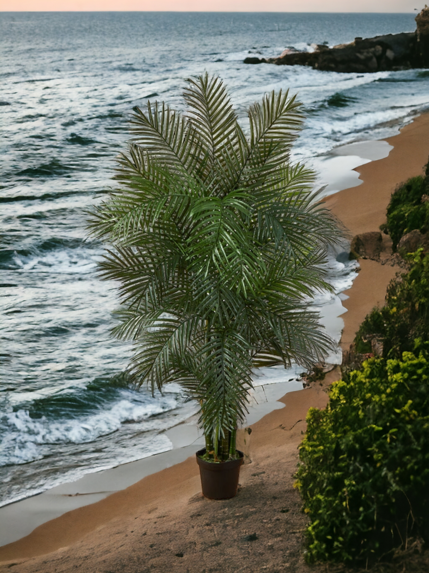 6.5' Areca Palm UV Resistant (Indoor/Outdoor)