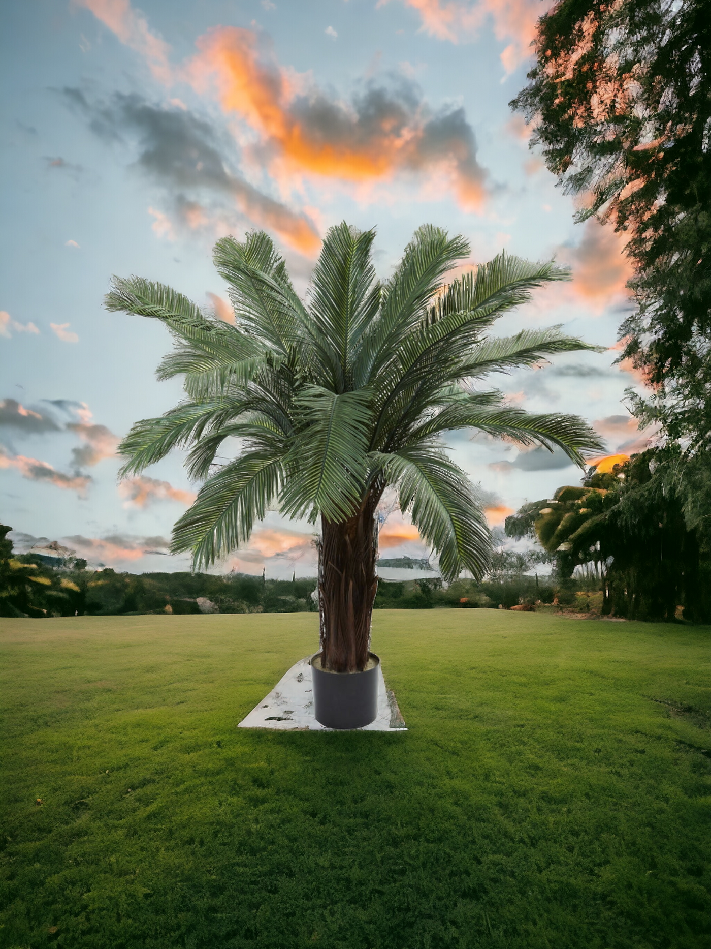 4’ Cycas Tree UV Resistant (Indoor/Outdoor)