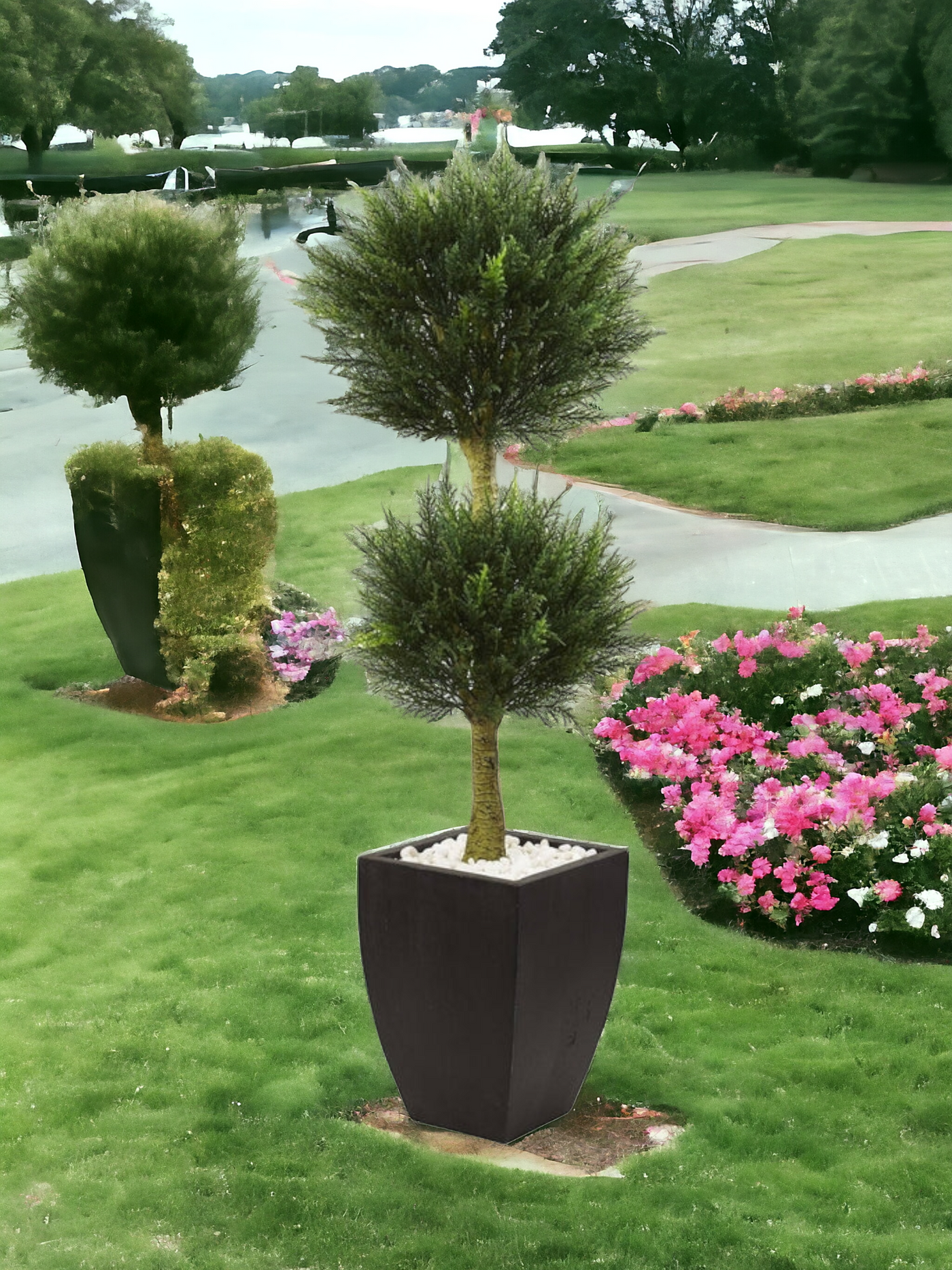 Cypress Topiary with Black Planter UV Resistant (Indoor/Outdoor)