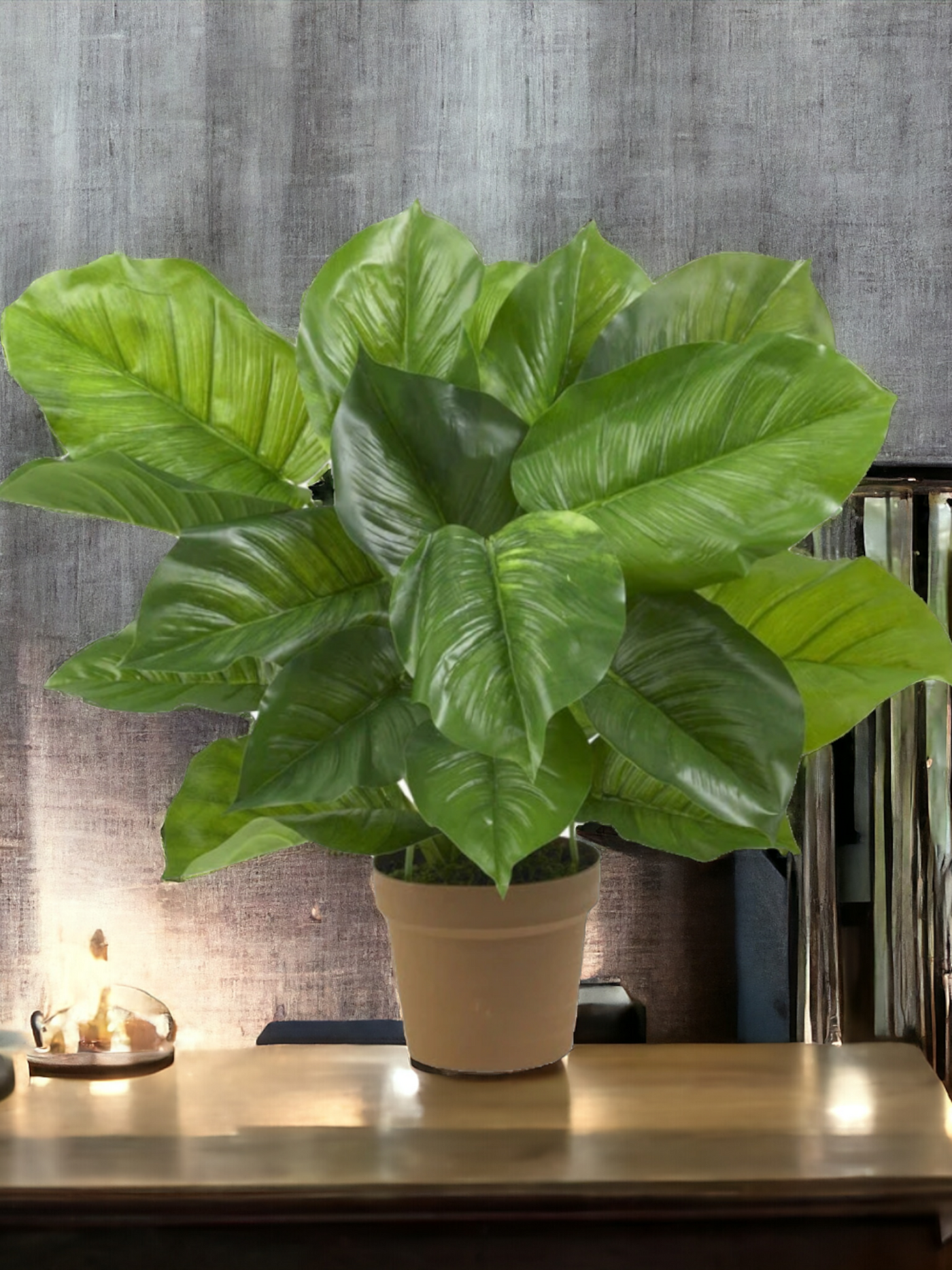 Large Leaf Philodendron Silk Plant (Real Touch)