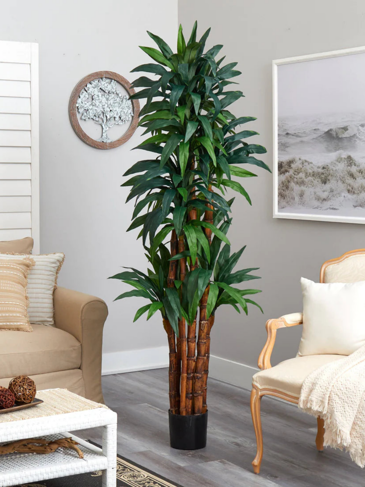 6.5’ Dracaena Tree