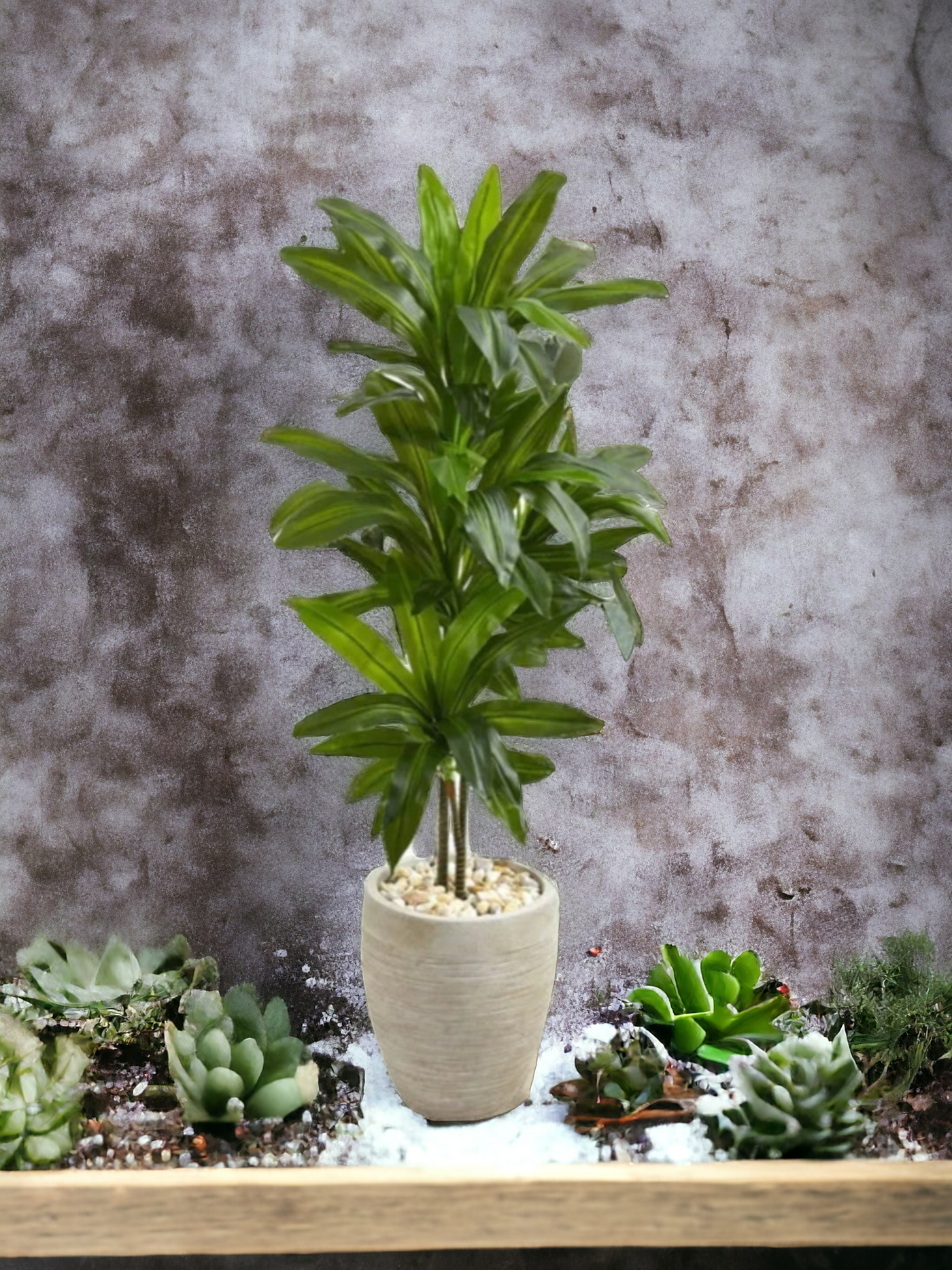 4' Artificial Dracaena Plant in Sand Colored Planter (Real Touch)