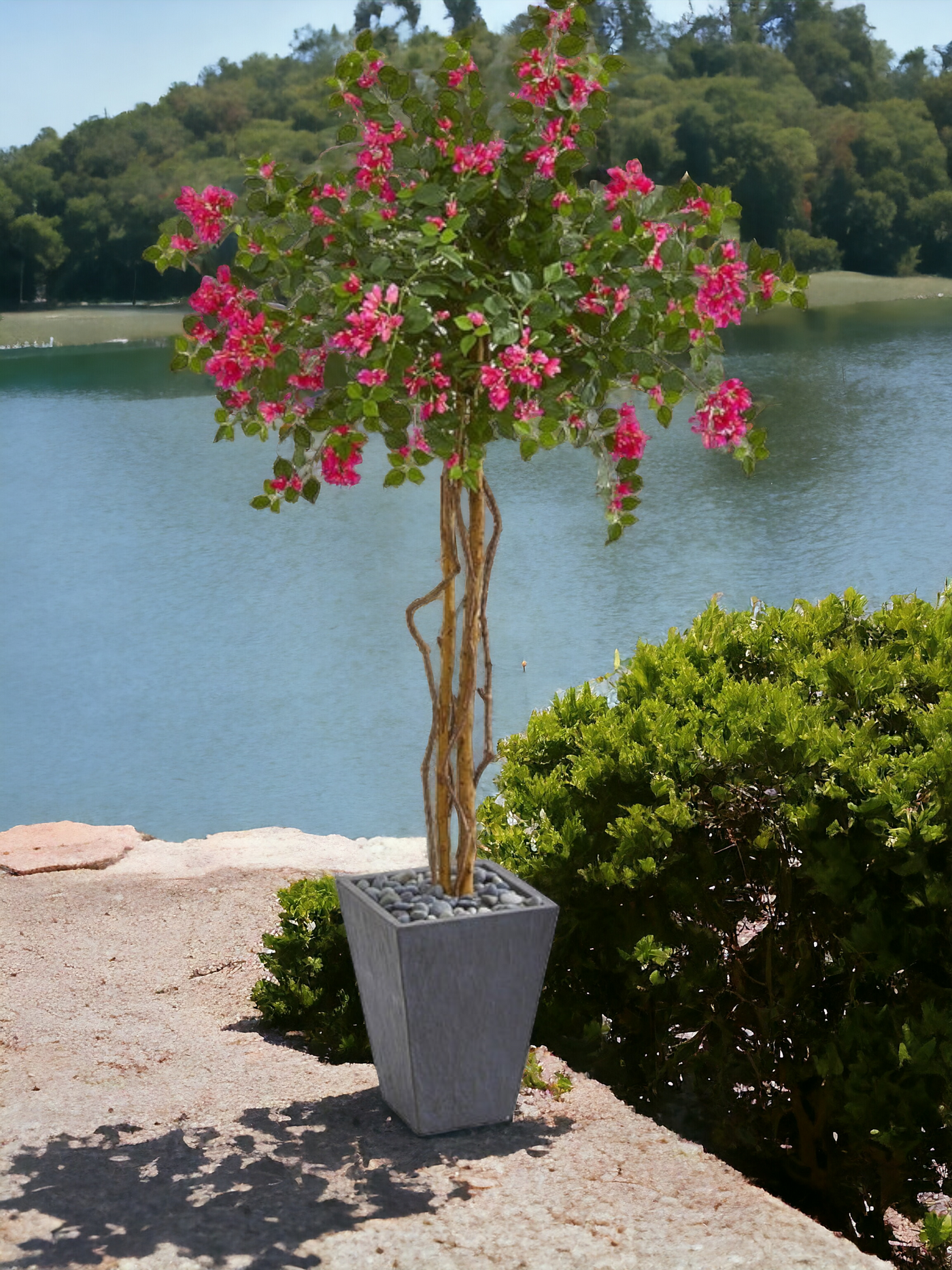 6.5’ Bougainvillea Artificial Tree in Decorative Planter