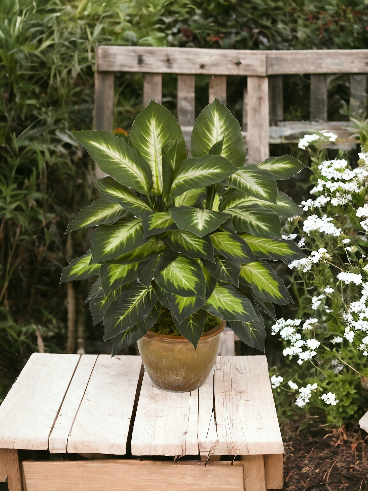 Dieffenbachia Artificial Plant in Ceramic Planter