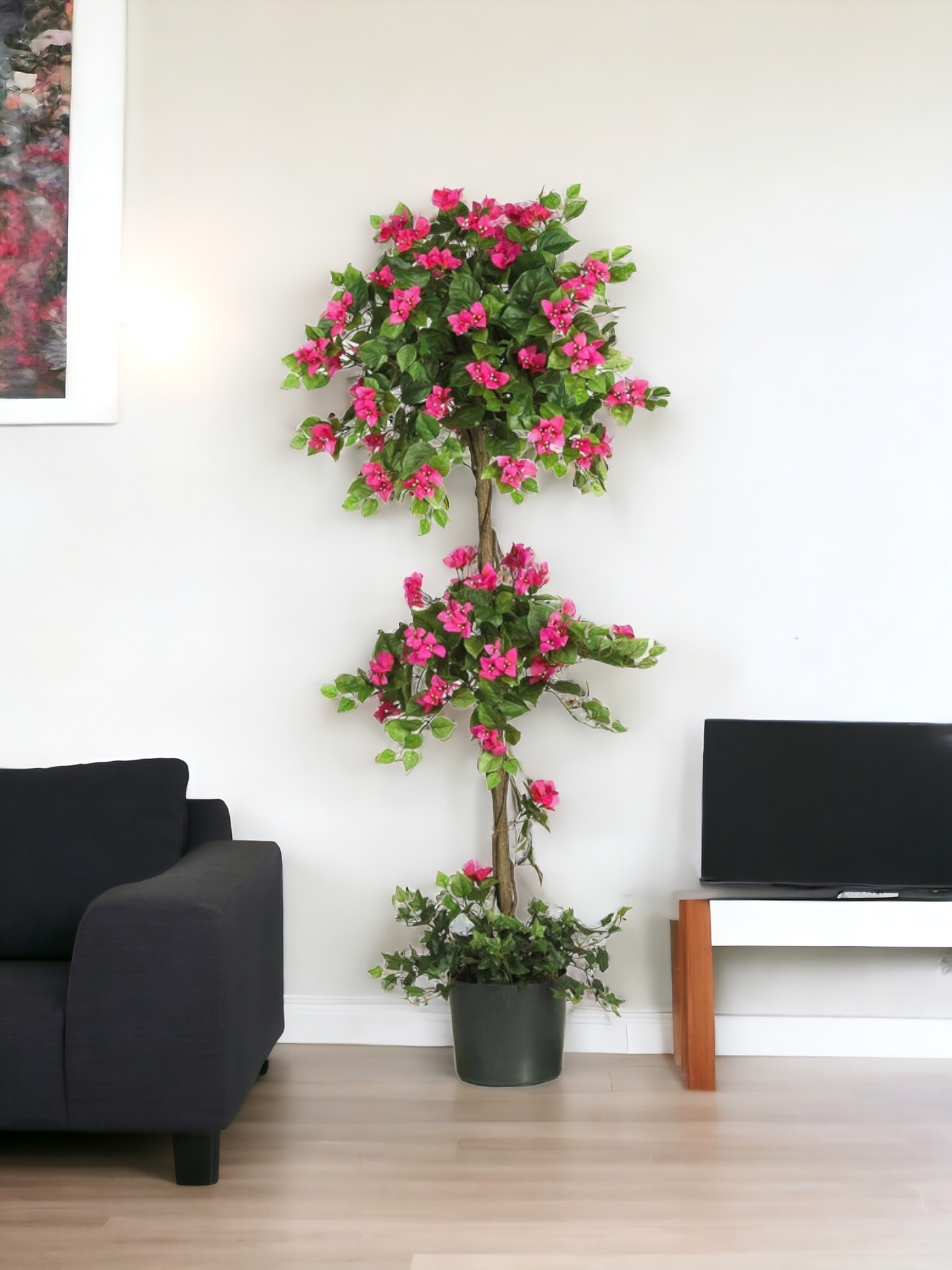 5' Mini Bougainvillea Topiary