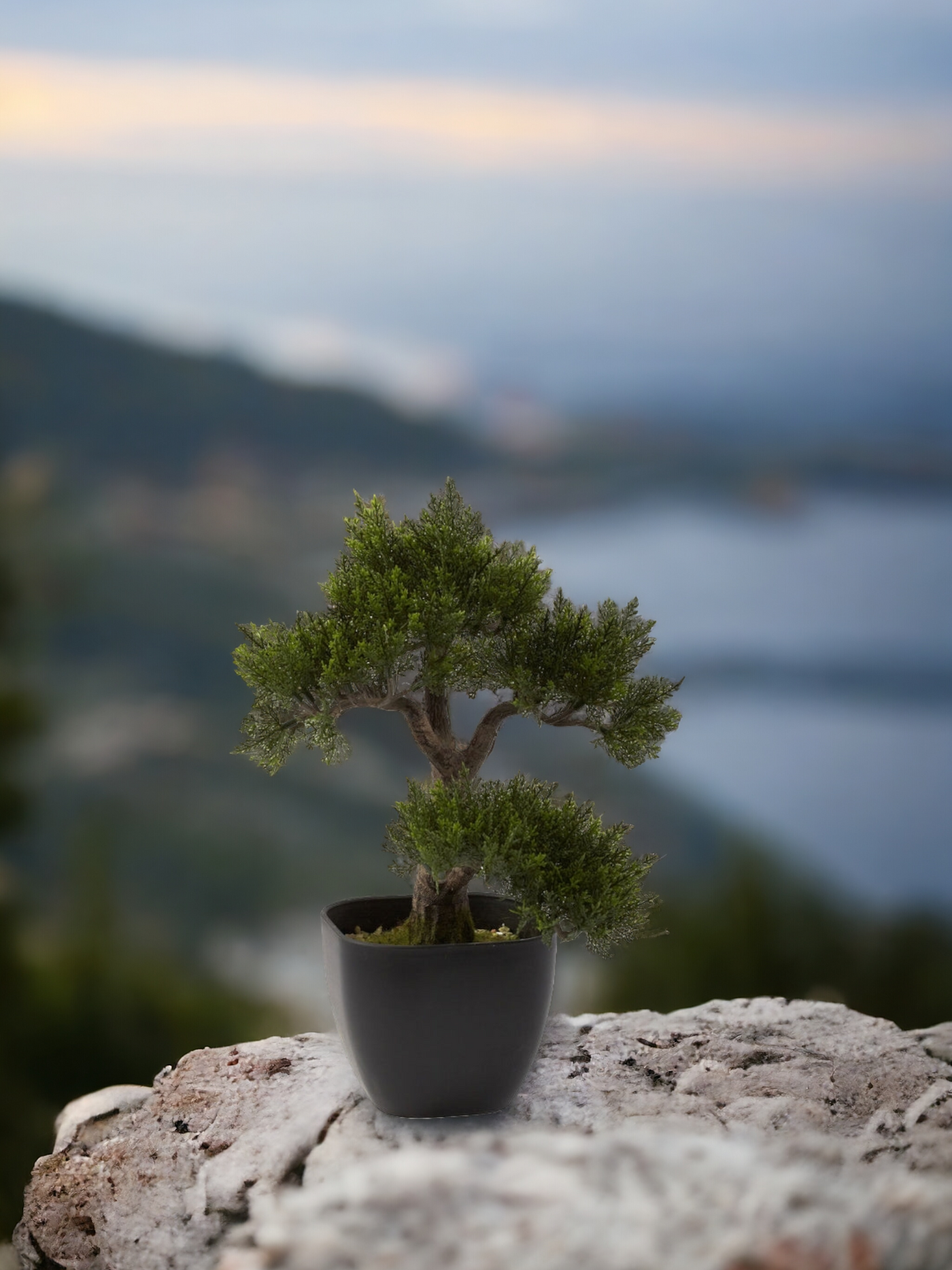 15” Artificial Cedar Bonsai Tree