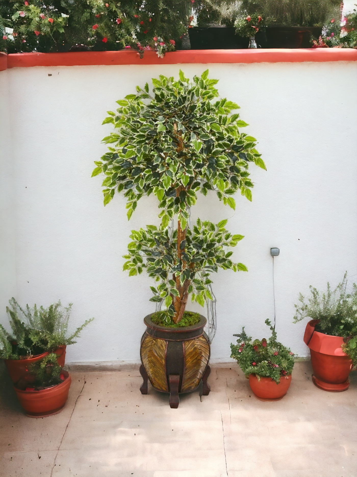 59” Variegated Ficus Artificial Tree in Decorative Planter