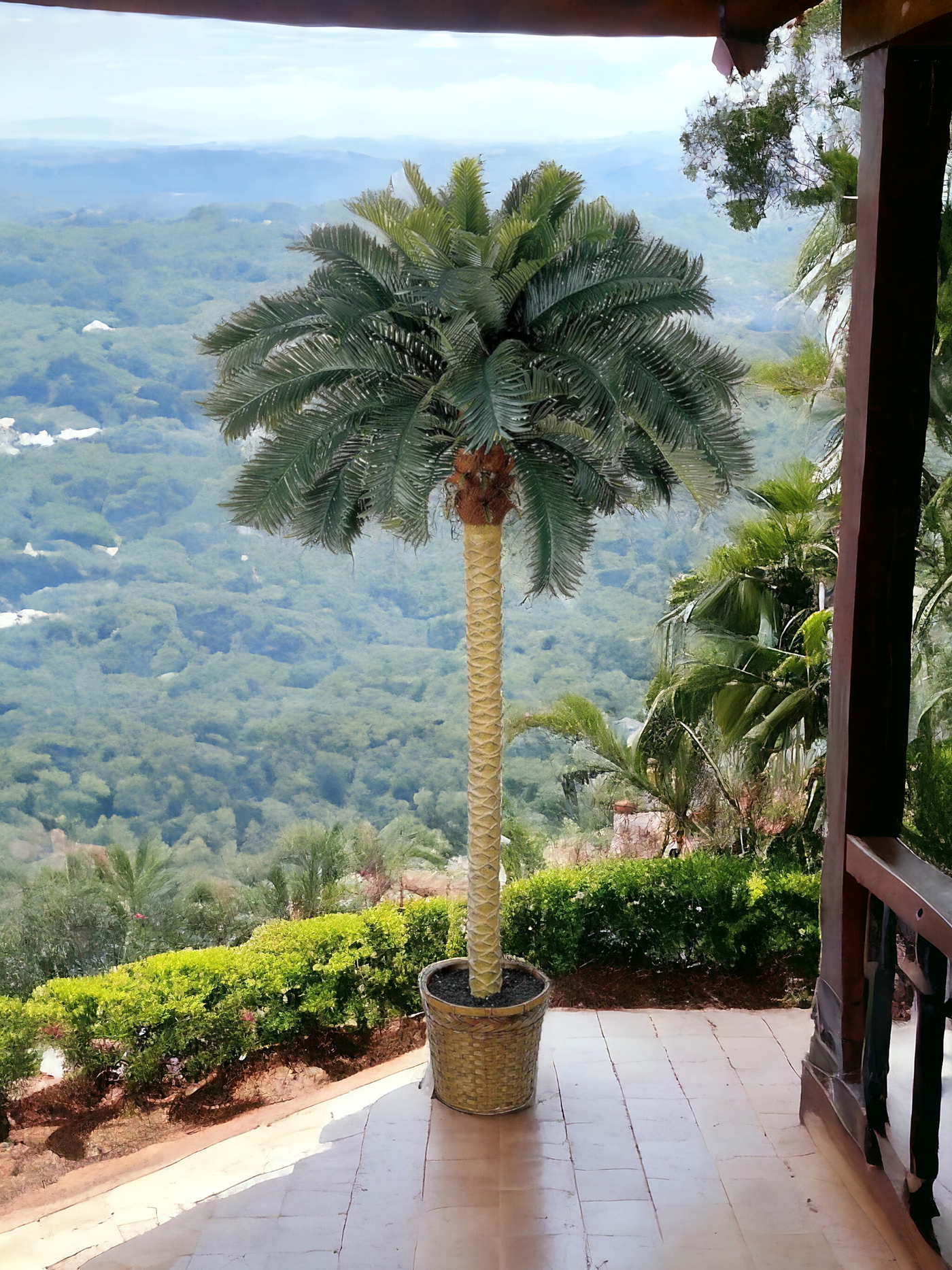 6' Sago Palm Silk Tree