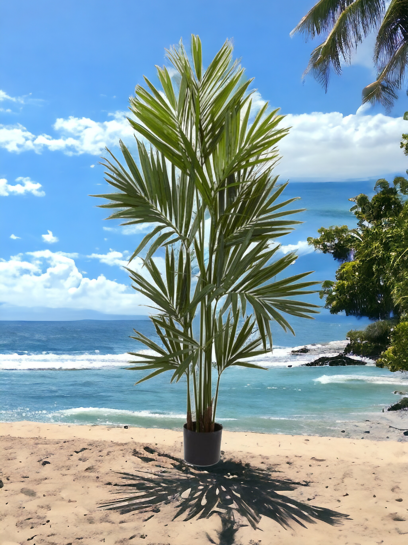 7' Artificial Kentia Palm Silk Tree Released