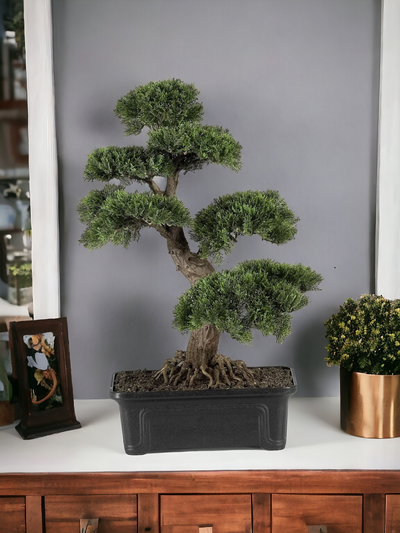 Cedar Bonsai 24" Silk Plant"