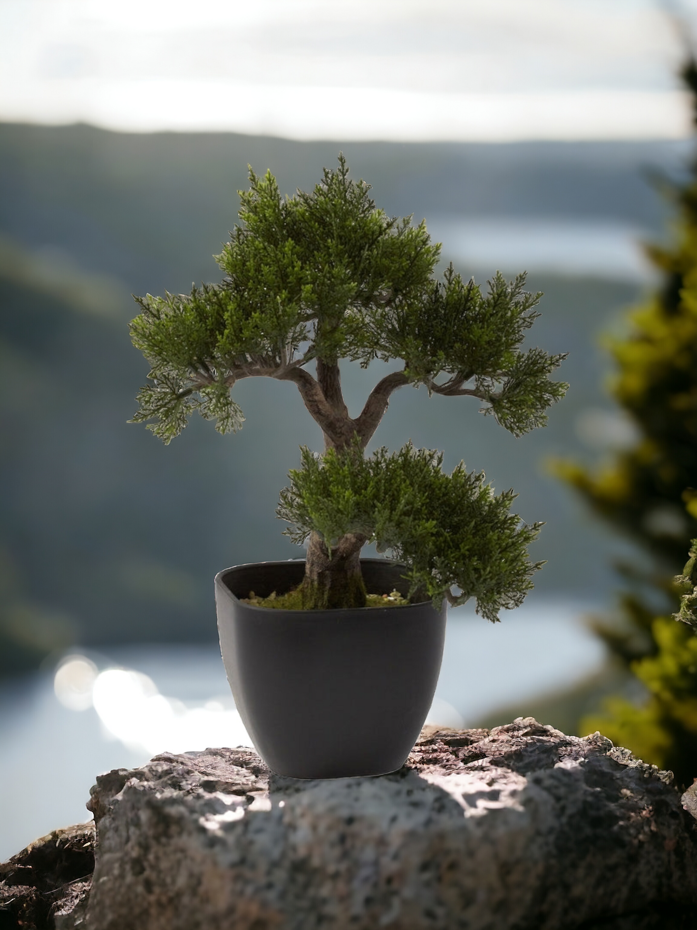 15” Artificial Cedar Bonsai Tree