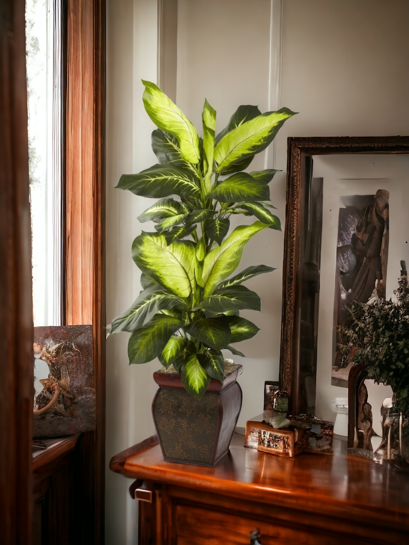 Golden Dieffenbachia W Decorative Planter