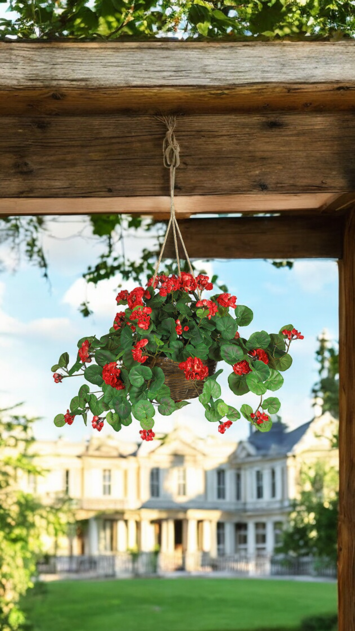 Geranium Hanging Basket Silk Plant