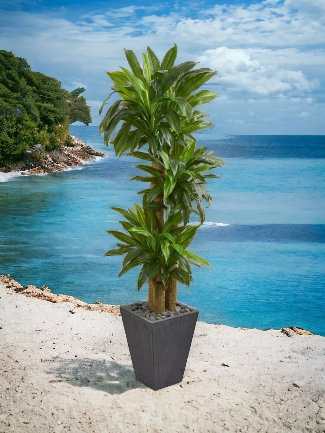 5.5’ Cornstalk Dracaena Artificial Plant in Slate Planter (Real Touch)