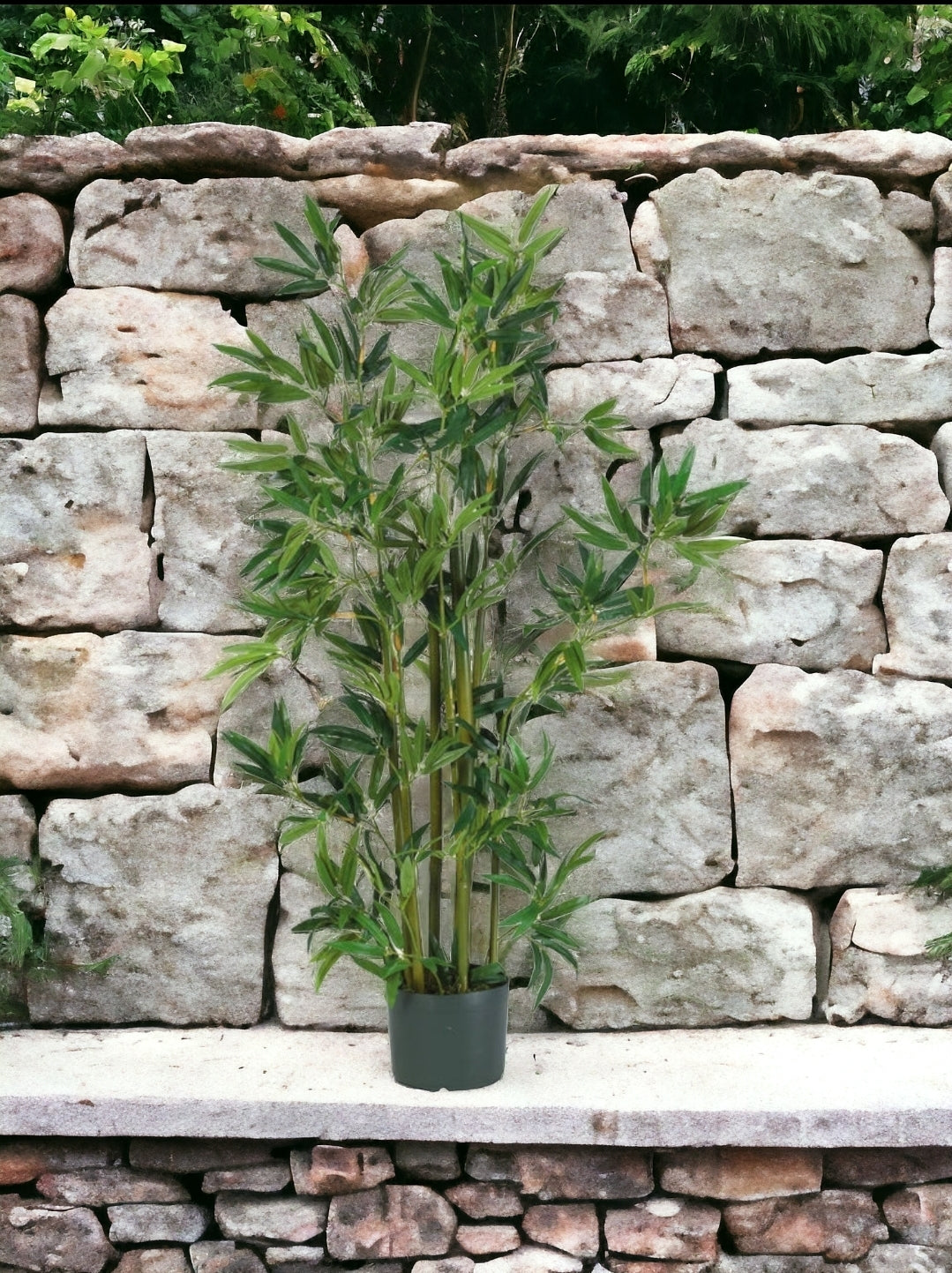 4' Bamboo Silk Plant