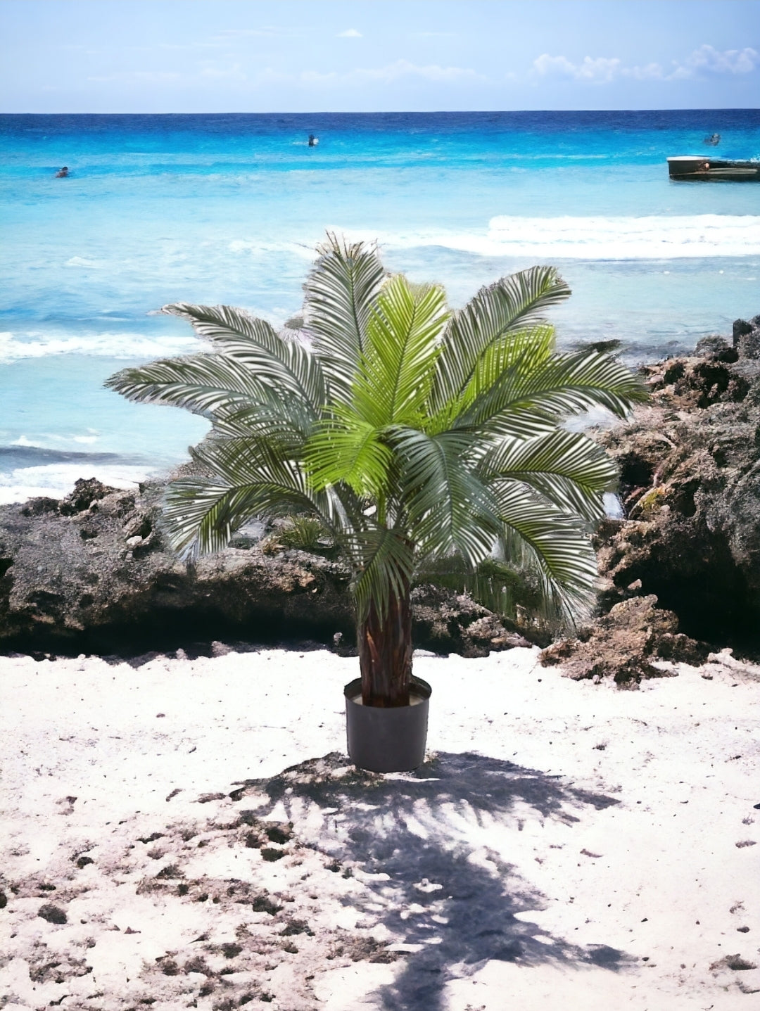 3’ Cycas Palm Tree UV Resistant (Indoor/Outdoor)