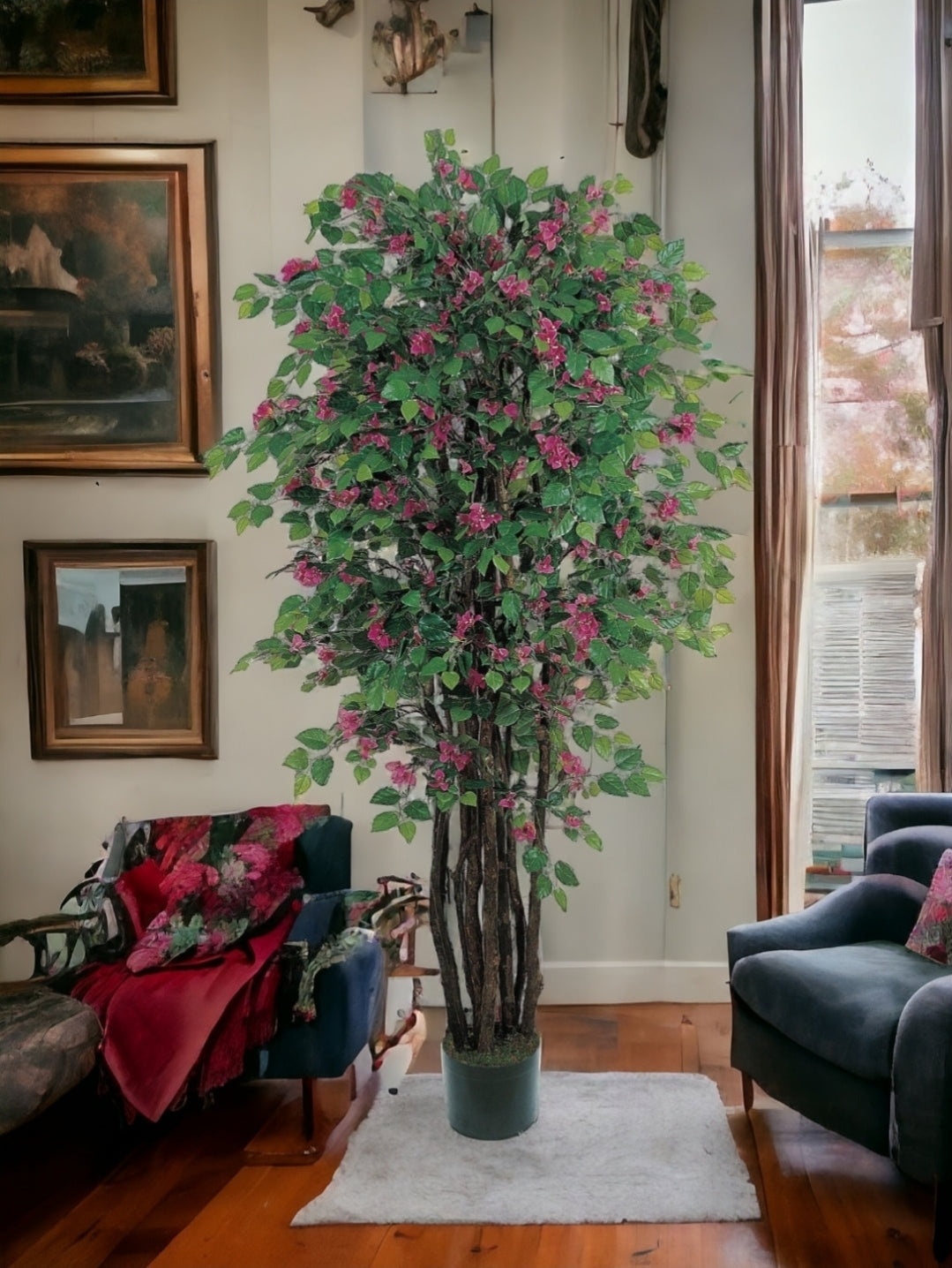 6' Bougainvillea Silk Tree