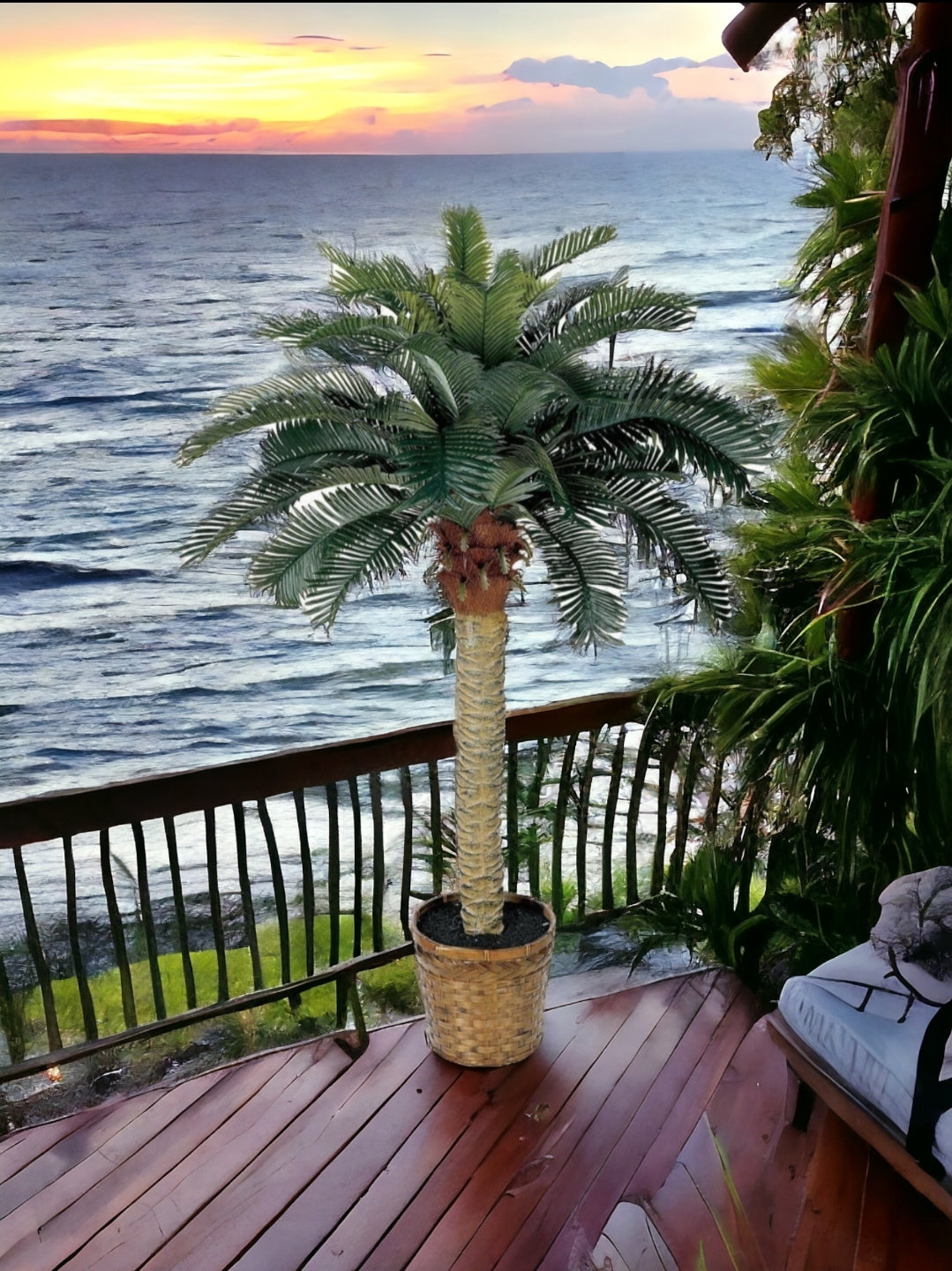 4' Sago Silk Palm Tree