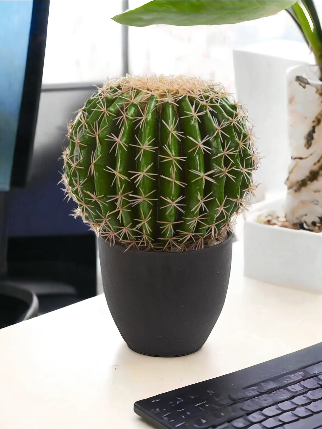 Cactus Artificial Plant