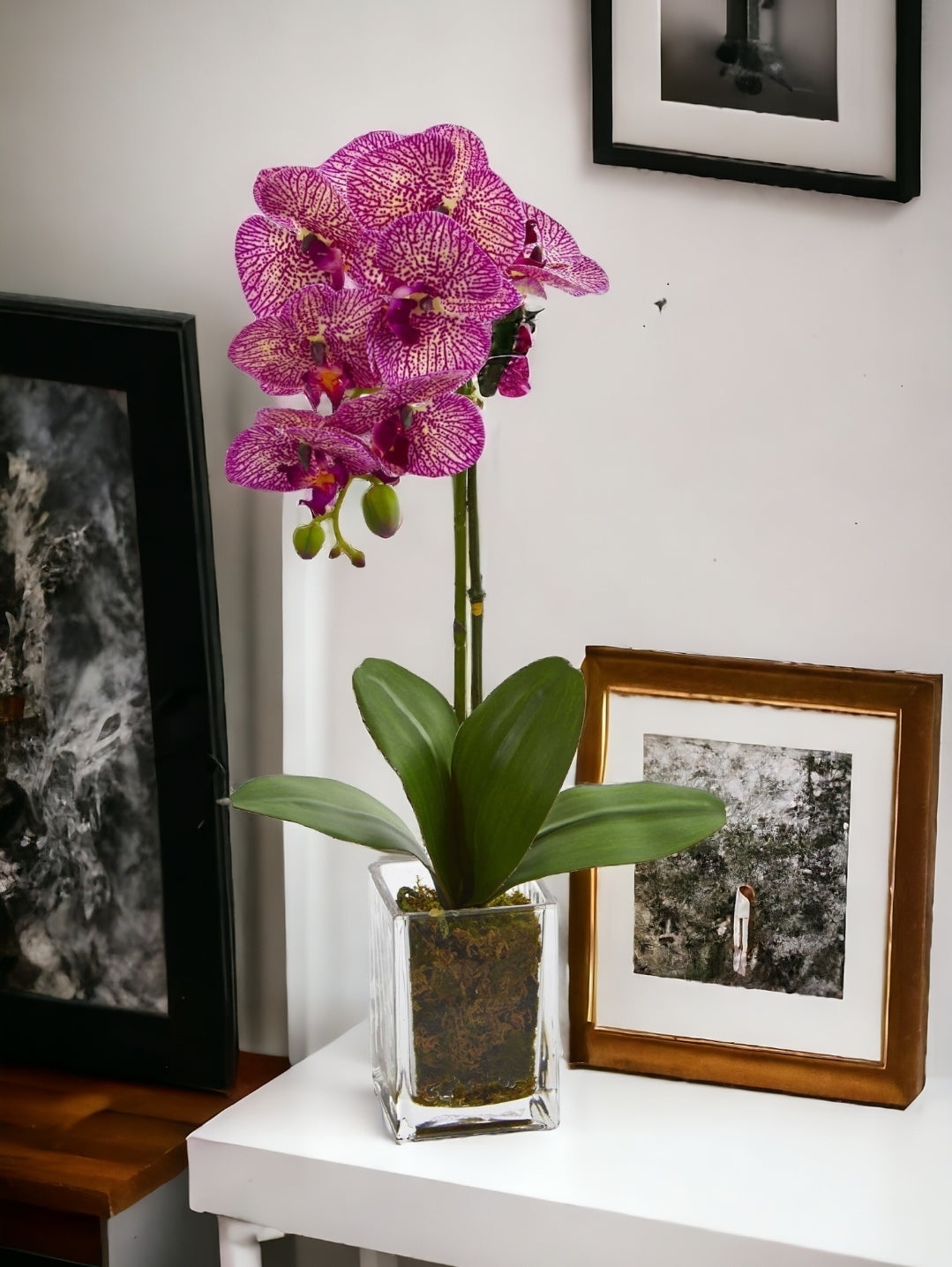 20” Orchid Phalaenopsis in vase