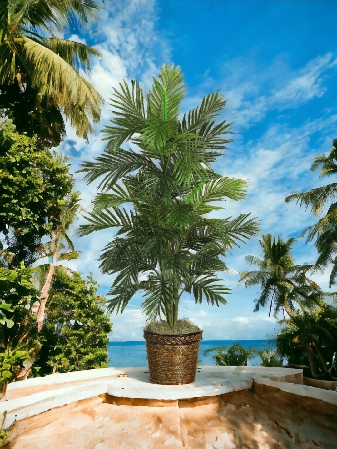 56" Areca Palm Silk Tree w/Basket