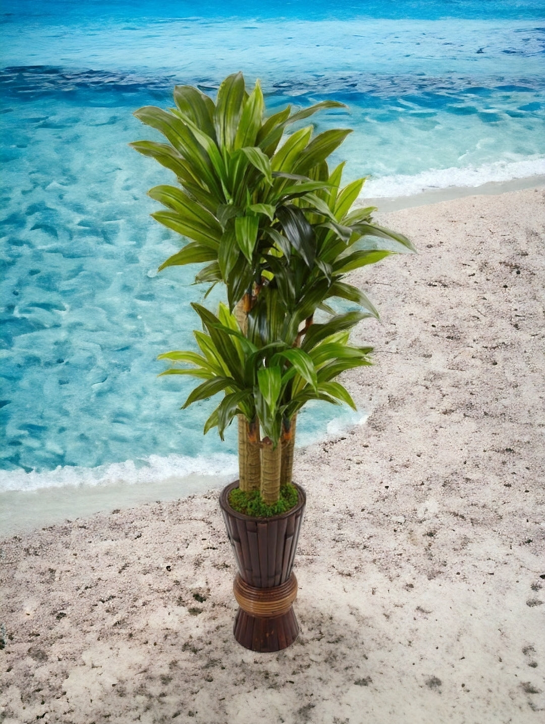 5’ Cornstalk Dracaena Artificial Plant in Planter (Real Touch)