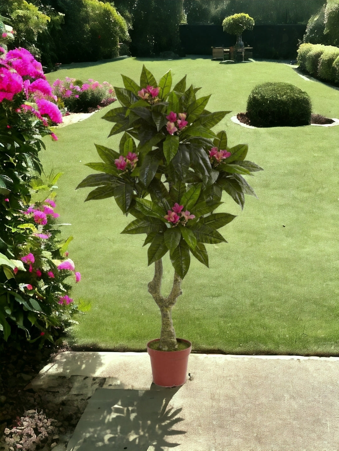 5' Plumeria Tree UV Resistant (Indoor/Outdoor)