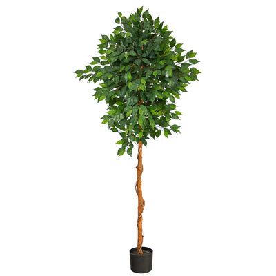 6 ft Artificial Ficus tree