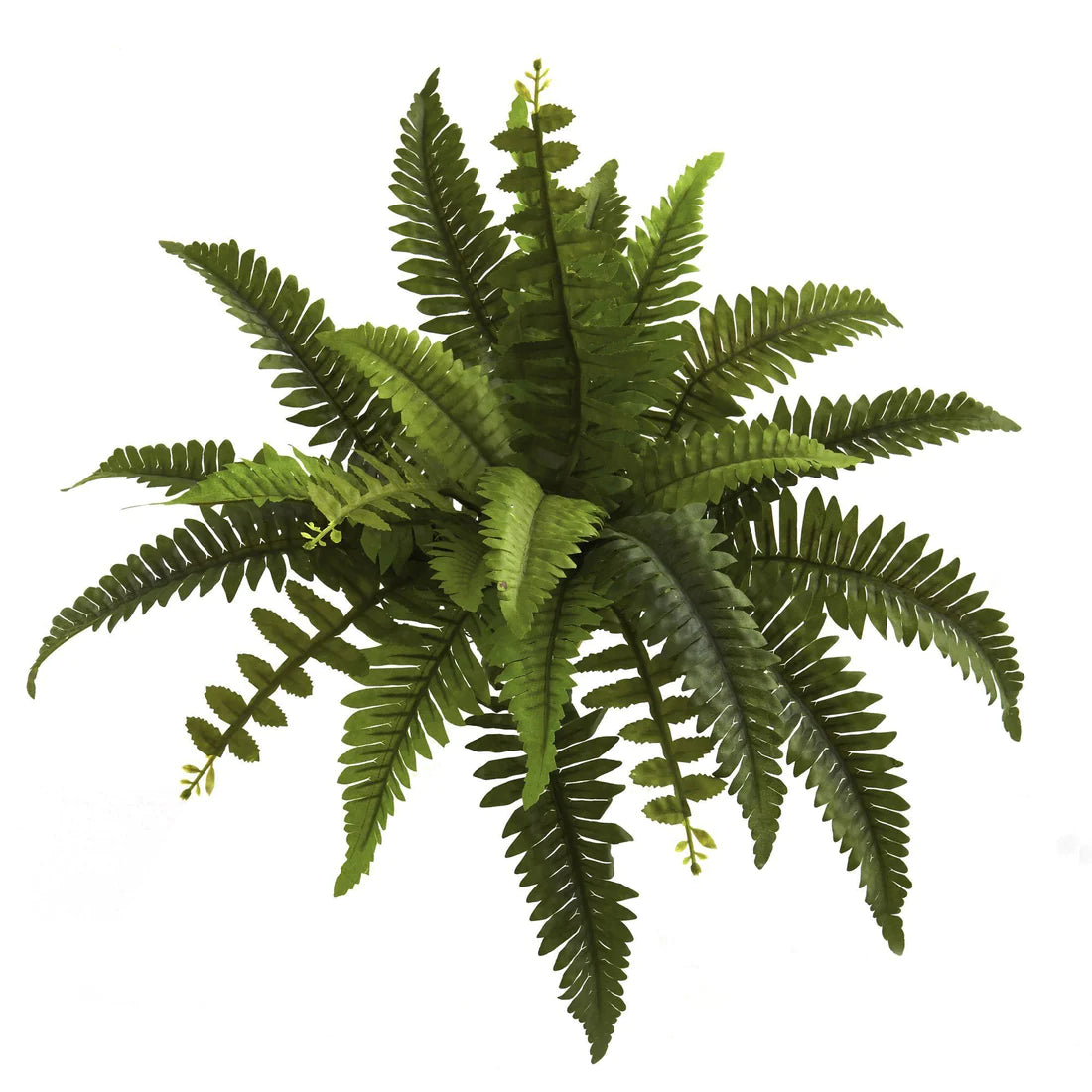 14" Boston Fern Artificial Plant (Set of 6)