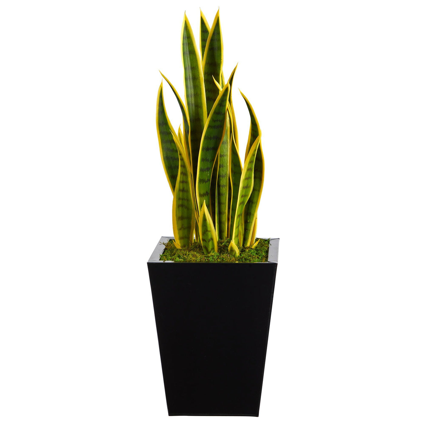 31” Sansevieria Artificial Plant in Black or White Metal Planter