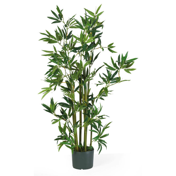 4' Bamboo Silk Plant