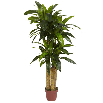 4' Corn Stalk Dracaena Silk Plant (Real Touch)