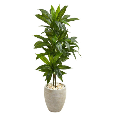 4' Artificial Dracaena Plant in Sand Colored Planter (Real Touch)