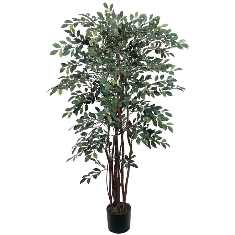 4' Ruscus Silk Tree