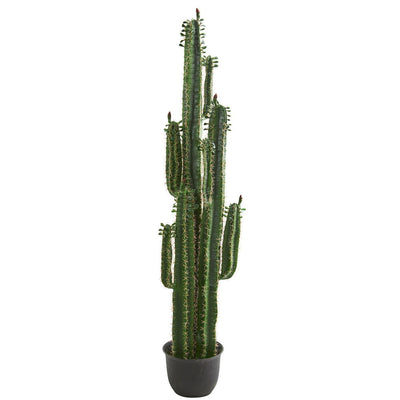 6.5’ Cactus Artificial Plant