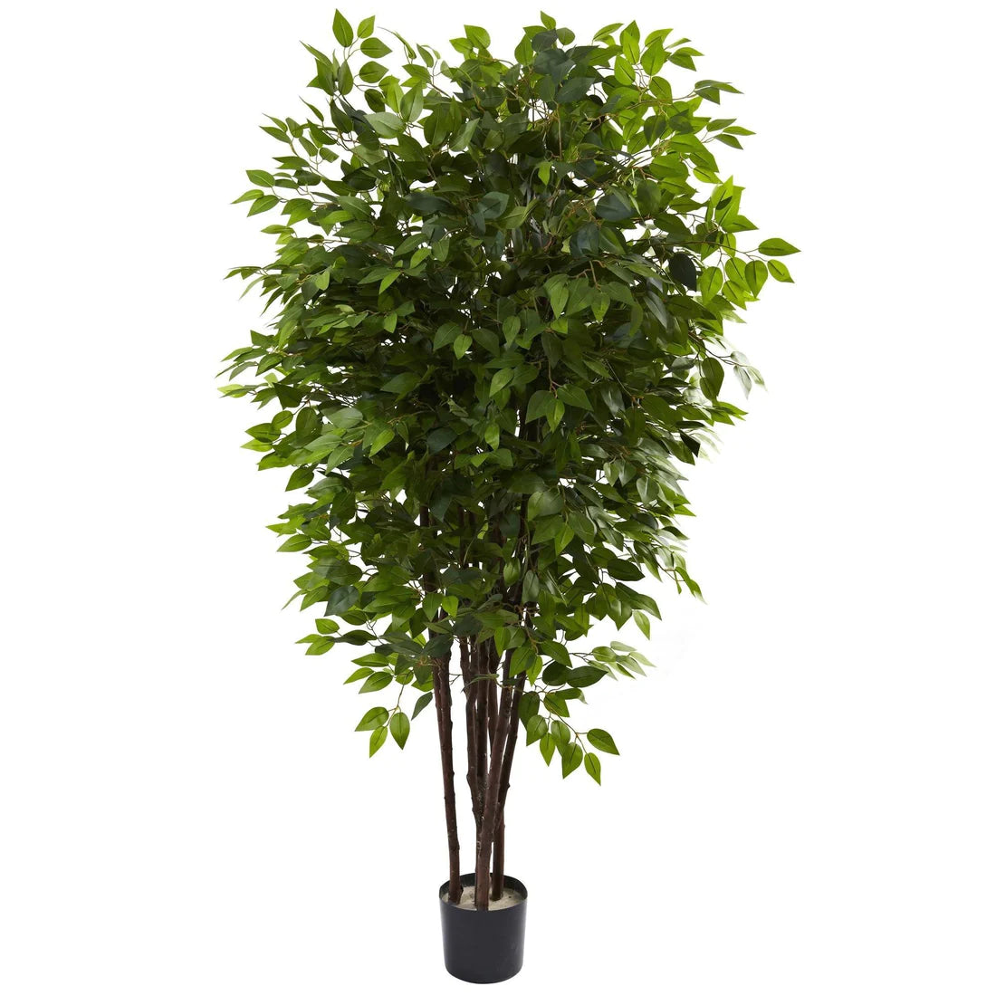 6.5’ Deluxe Ficus Tree