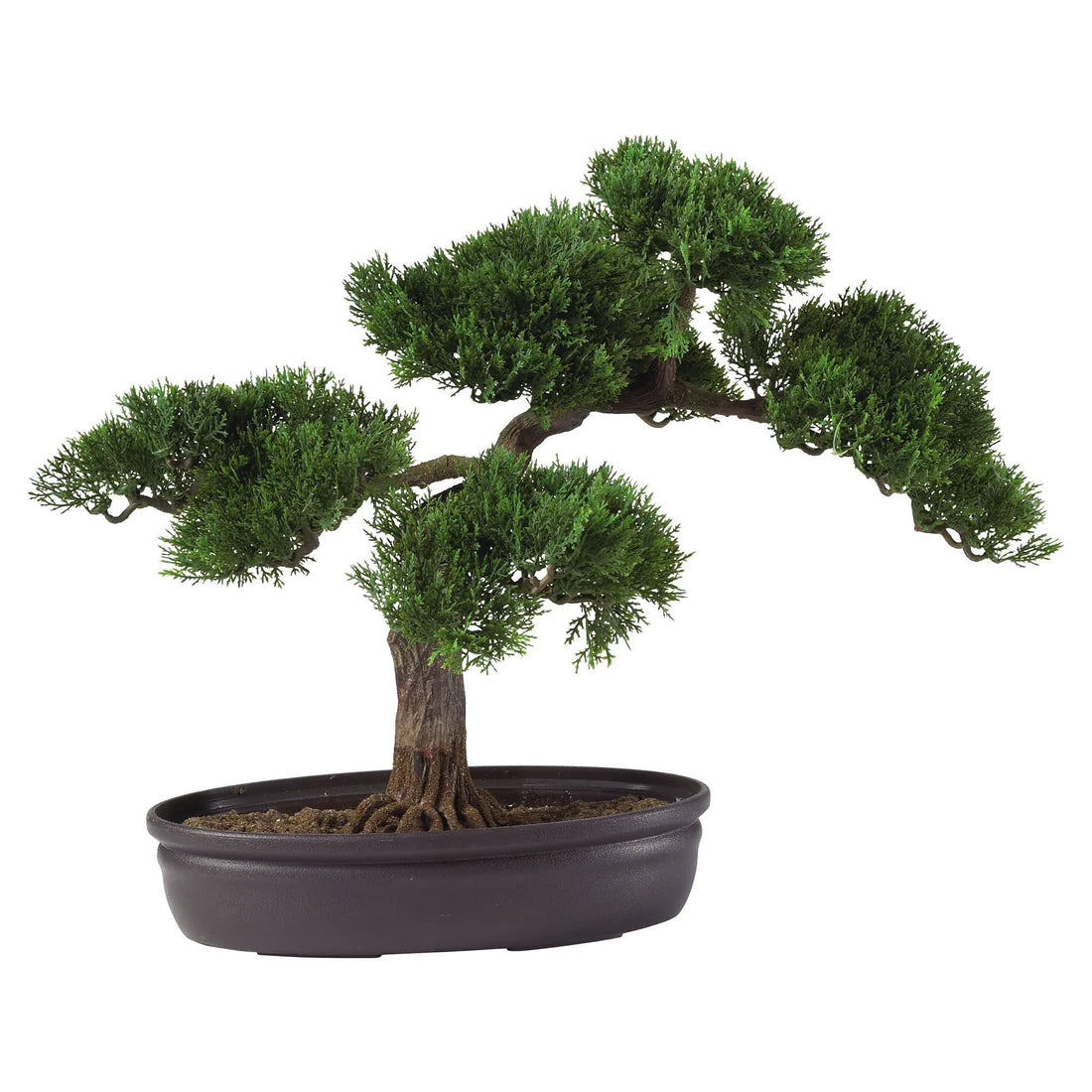 Cedar Bonsai 16" Silk Plant"