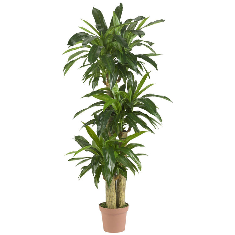 Corn Stalk Dracaena Silk Plant (Real Touch)