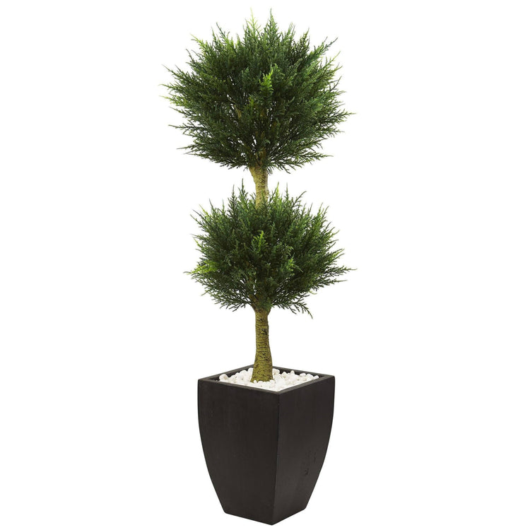 Cypress Topiary with Black Planter UV Resistant (Indoor/Outdoor)