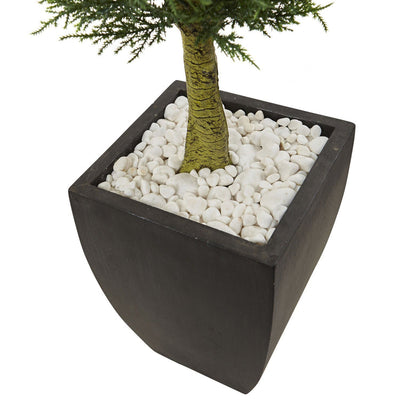 Cypress Topiary with Black Planter UV Resistant (Indoor/Outdoor)