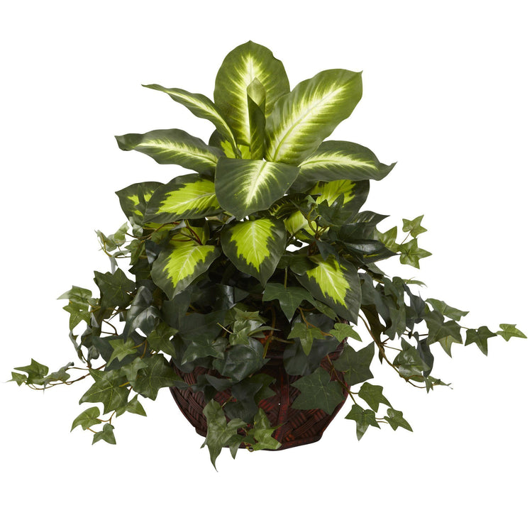 Dieffenbachia & Ivy w/Decorative Planter