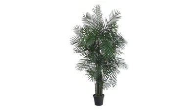 6.5' Areca Palm UV Resistant (Indoor/Outdoor)