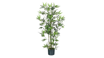 4' Bamboo Silk Plant