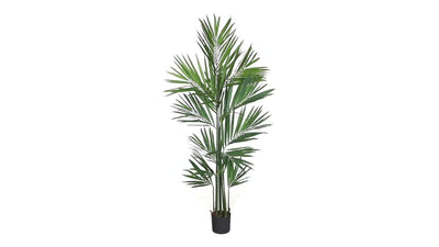 7' Artificial Kentia Palm Silk Tree Released