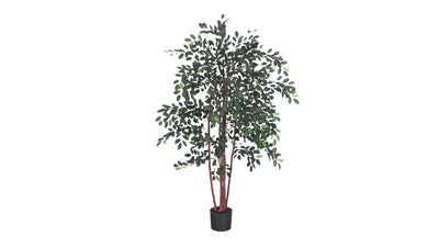 4' Ruscus Silk Tree